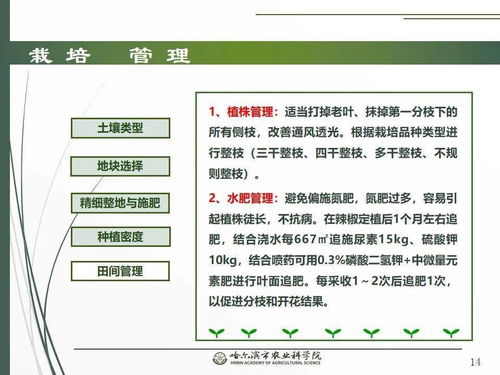 科技賦能春耕 網(wǎng)絡(luò)課堂開(kāi)講辣椒栽培技術(shù)