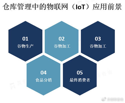 物聯(lián)網(wǎng)技術(shù)驅(qū)動(dòng)下的現(xiàn)代倉(cāng)庫(kù)管理 市場(chǎng)概覽與網(wǎng)絡(luò)技術(shù)咨詢(xún)服務(wù)