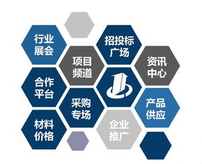 建設(shè)工程行業(yè)招投標(biāo)綜合信息門(mén)戶(hù)與網(wǎng)絡(luò)技術(shù)咨詢(xún)服務(wù)發(fā)展探析